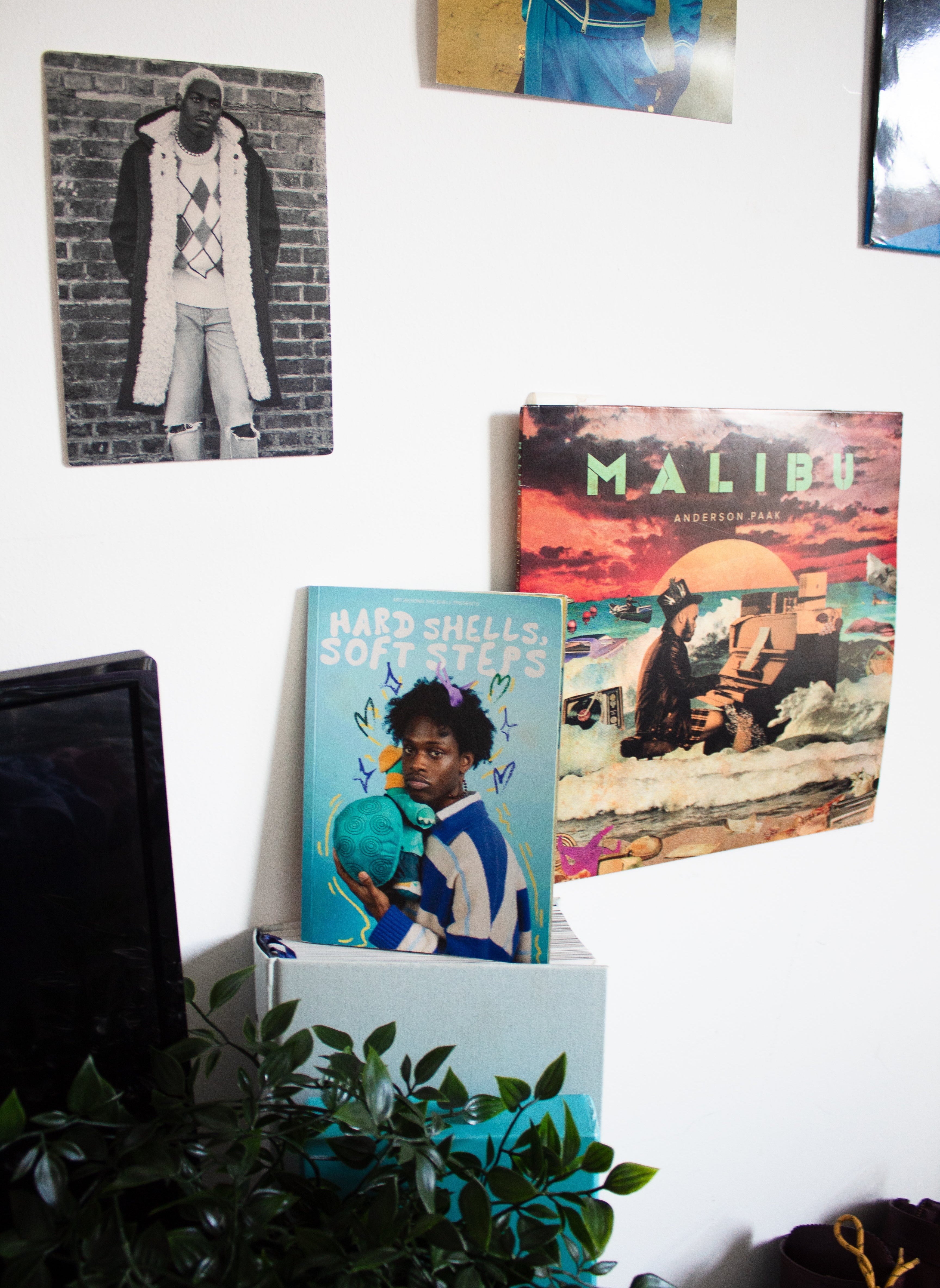 Hard Shells, Soft Steps Zine Vol. 1
