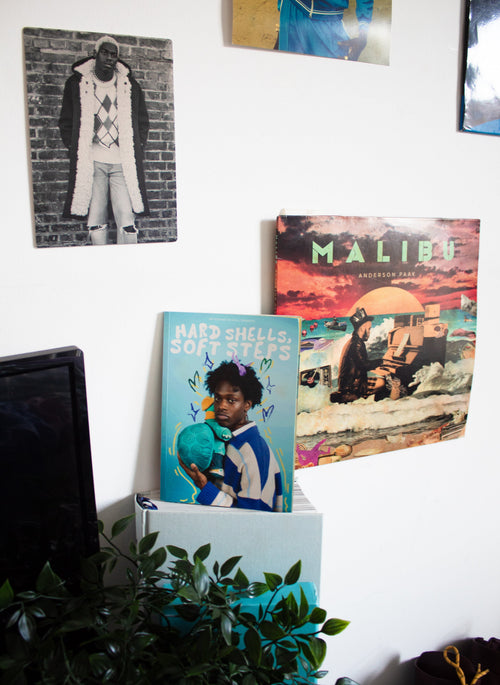 Hard Shells, Soft Steps Zine Vol. 1
